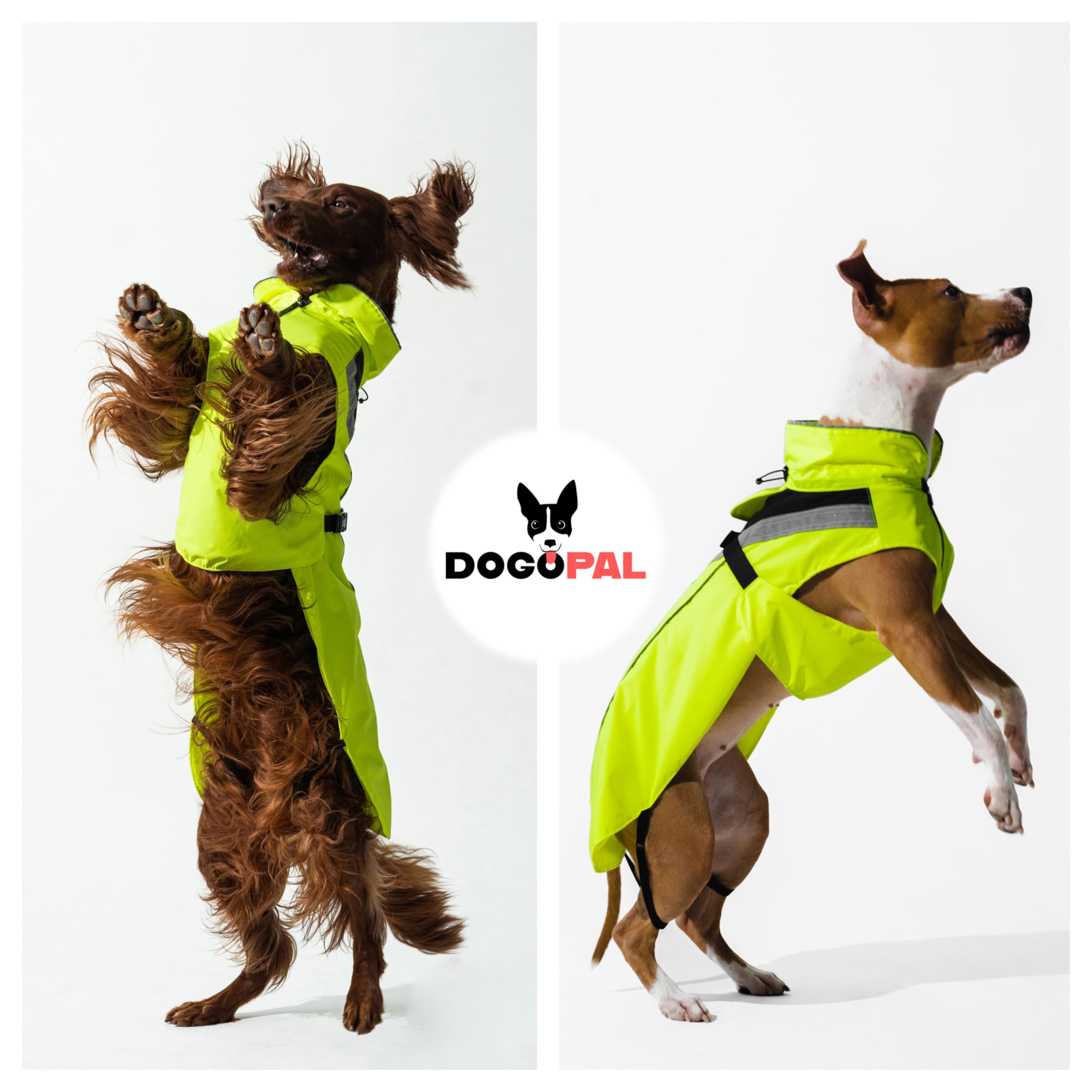 DOGOPAL Chubasquero Reflectante para Perros, Impermeable para Perros, Poncho de Lluvia Ligero con Abertura para arnés para Perros pequeños, medianos y Grandes (Amarillo, XL)