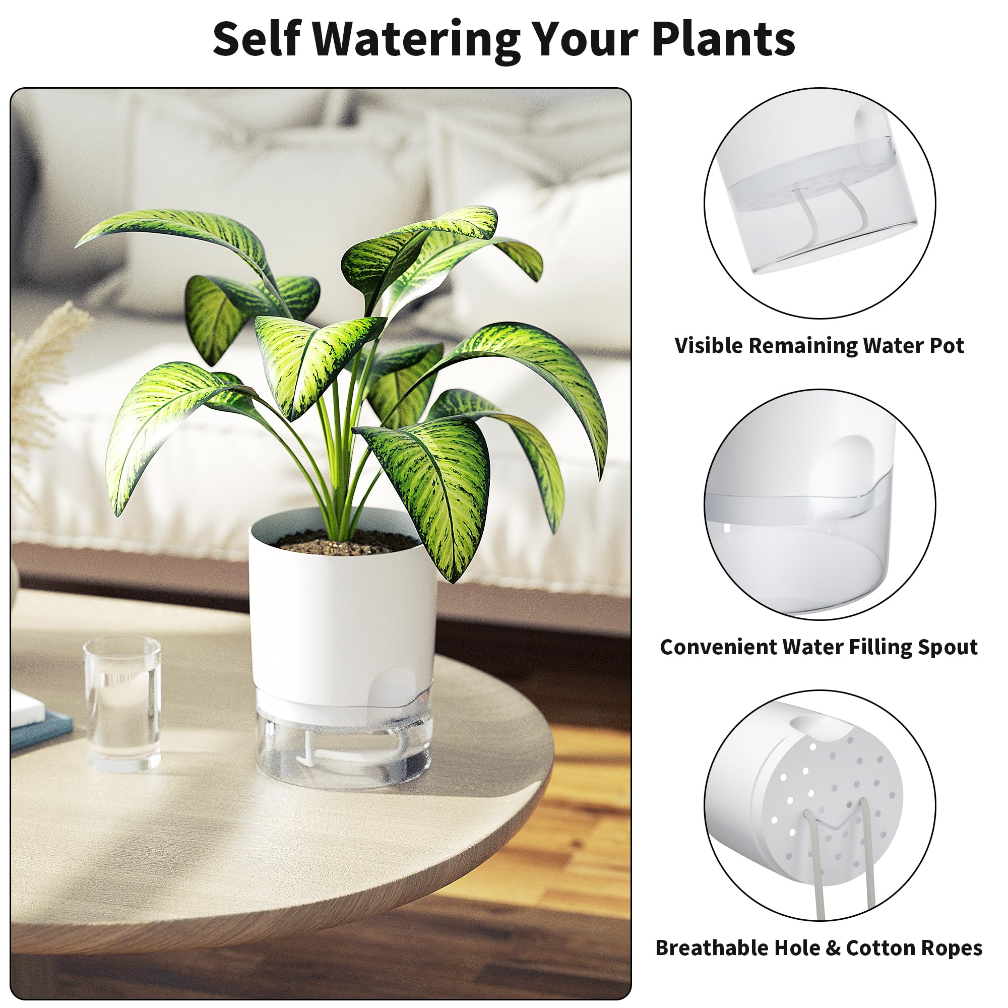 Amazon.co.jp: Tectsia 6インチ 底 水やり 植木鉢 屋内植物用 4インチ