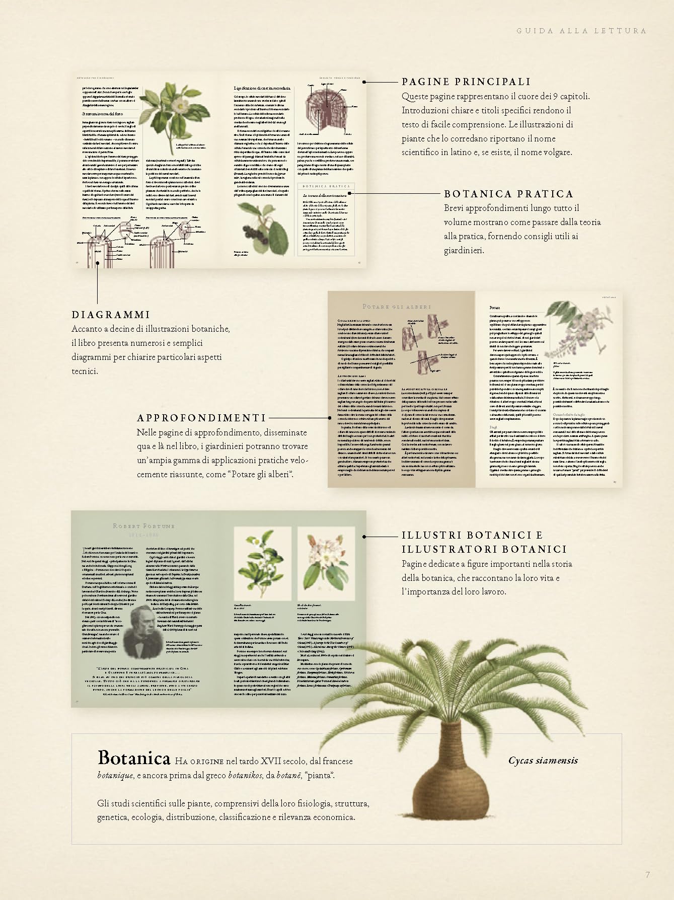 Botanica per giardinieri. L'arte e la scienza del giardinaggio spiegate e raccontate