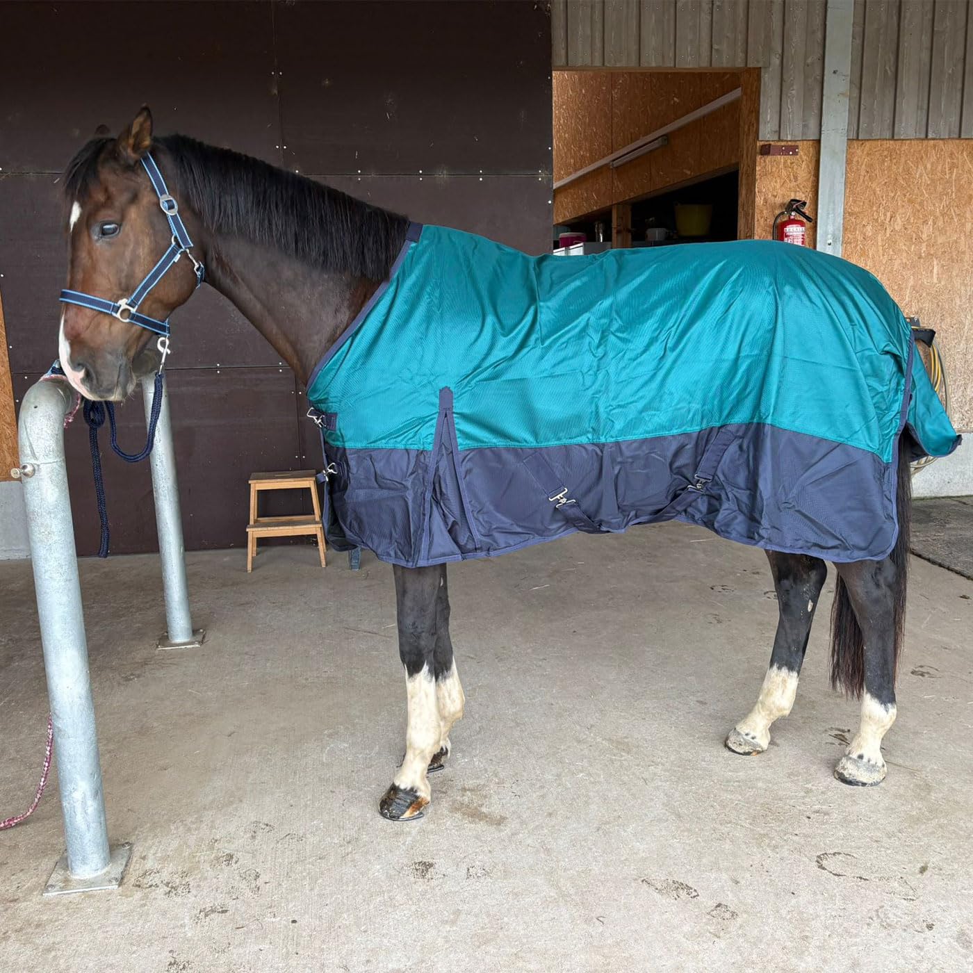Brama-West - Manta para la lluvia, diseño de caballo Zara Turnout 1200D, manta de pasto para exteriores, resistente al agua y al viento (azul/azul marino, 175)