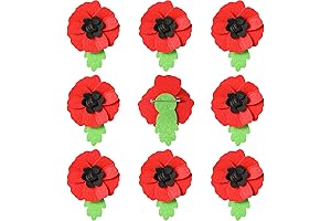 Remembrance Day Poppies - Red Poppy Brooch Pin Lest We Forget