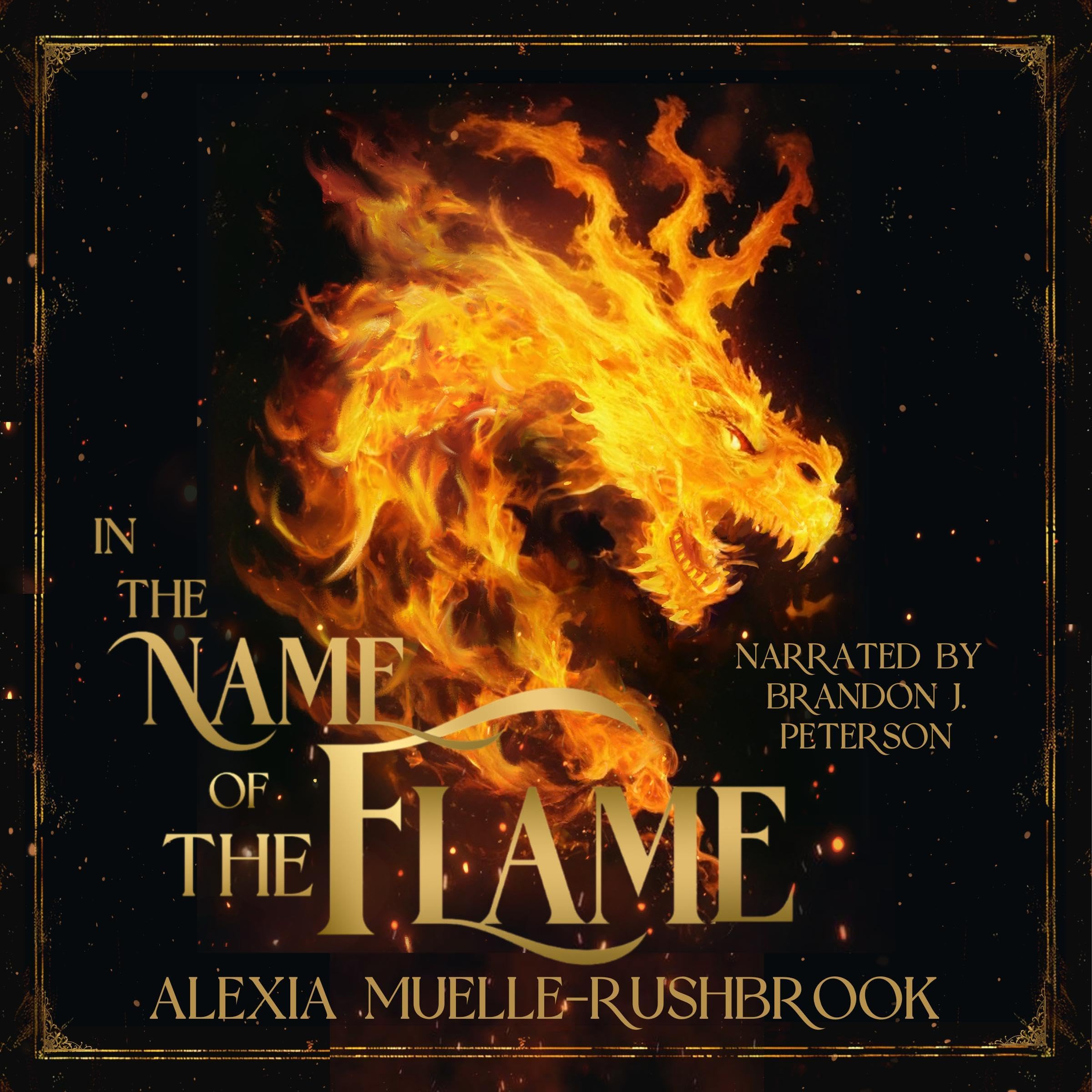 Cover art for In the Name of the Flame