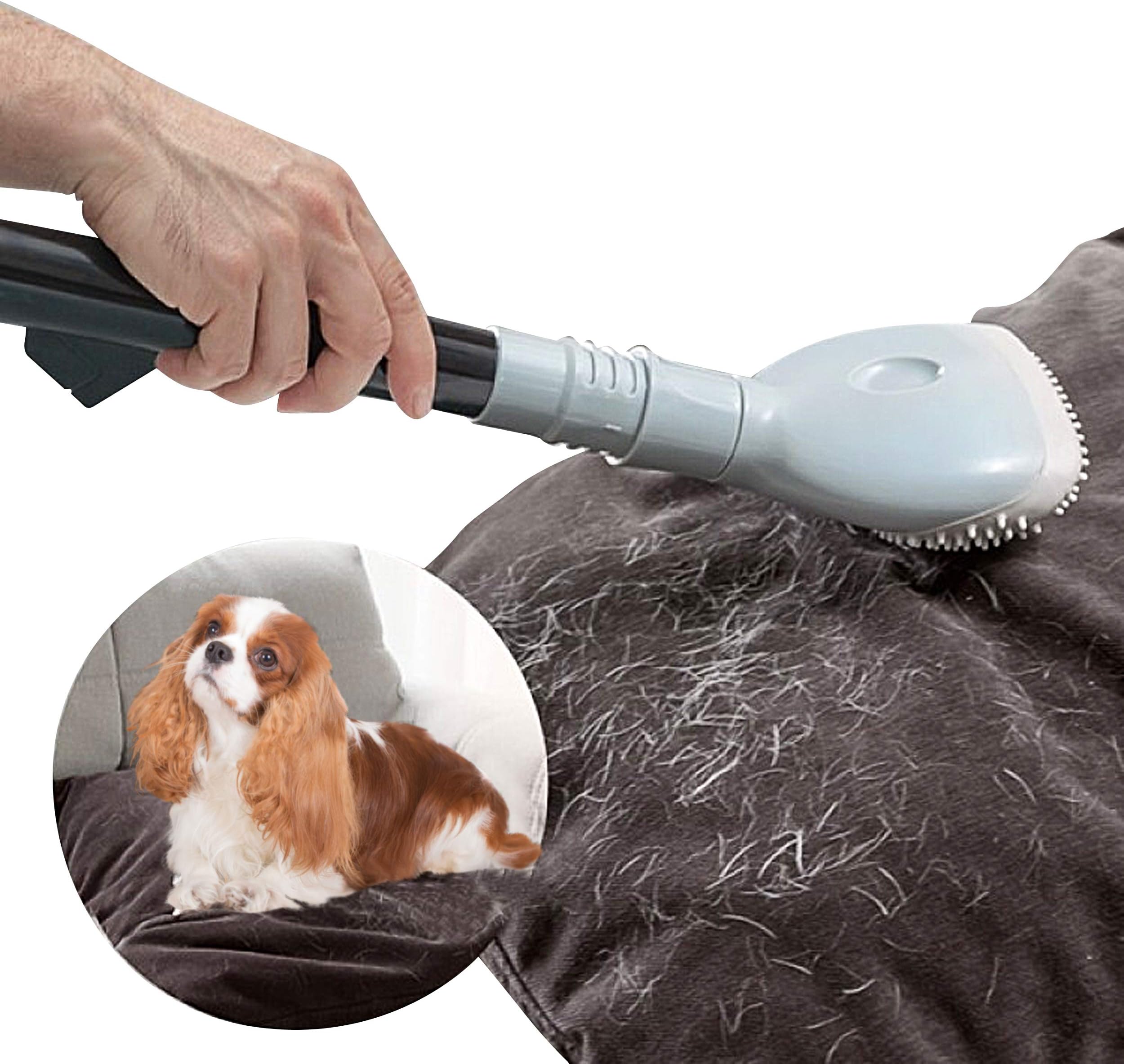Oramics Professional Vacuum Cleaner Attachment Animal Hair Universal Pet Brush for Vacuum Cleaner Including 2 Adapters - Cats and Dogs Brush for Pipes with Approx. 3-4 cm Diameter