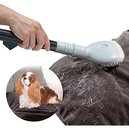 Oramics - Spazzola professionale per aspirapolvere, per peli di animali,  universale, inclusi 2 adattatori – Spazzola per peli di cani e gatti per  tubi con circa 3-4 cm di diametro : Amazon.it: Casa e cucina