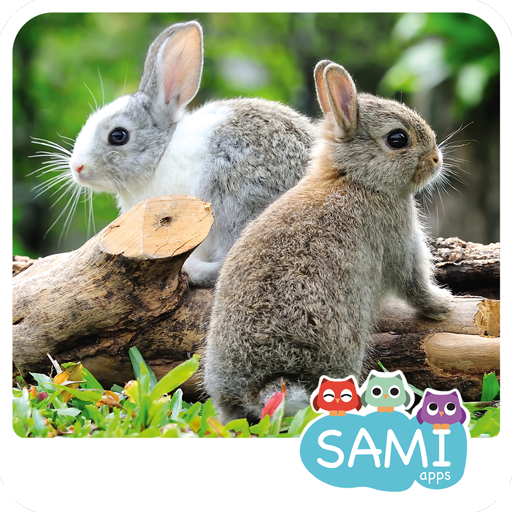 Sami Tiny Flash Cards Animals preschool kids apps, 30 animals flashcards tinycards for toddlers