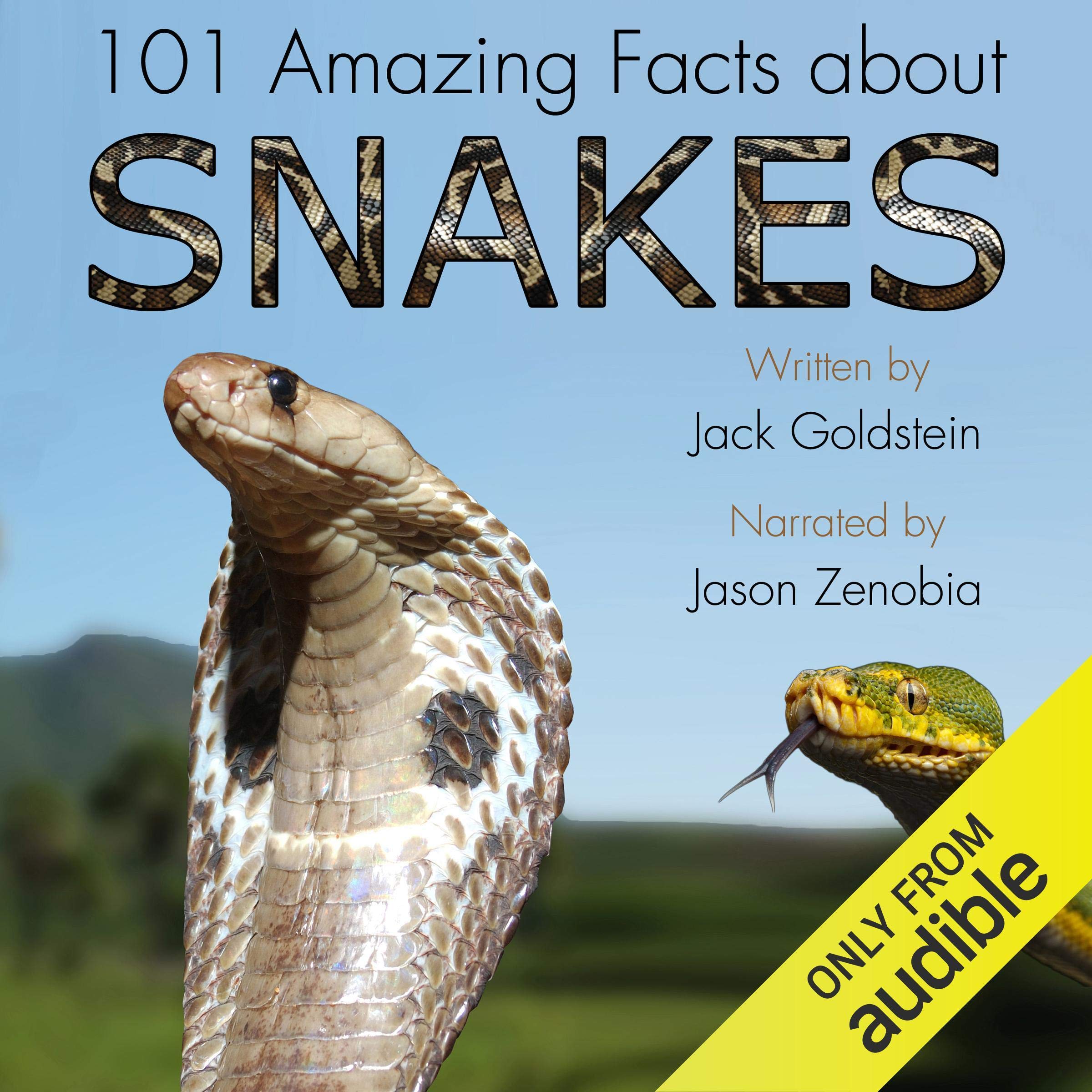 Cover art for 101 Amazing Facts About Snakes