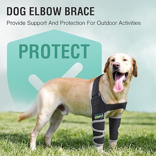 Miniatura 7 de Codera para perro para codo canino y hombro, displasia, osteoartritis, callos de codo, úlceras por presión, coderas de perro para una mejor