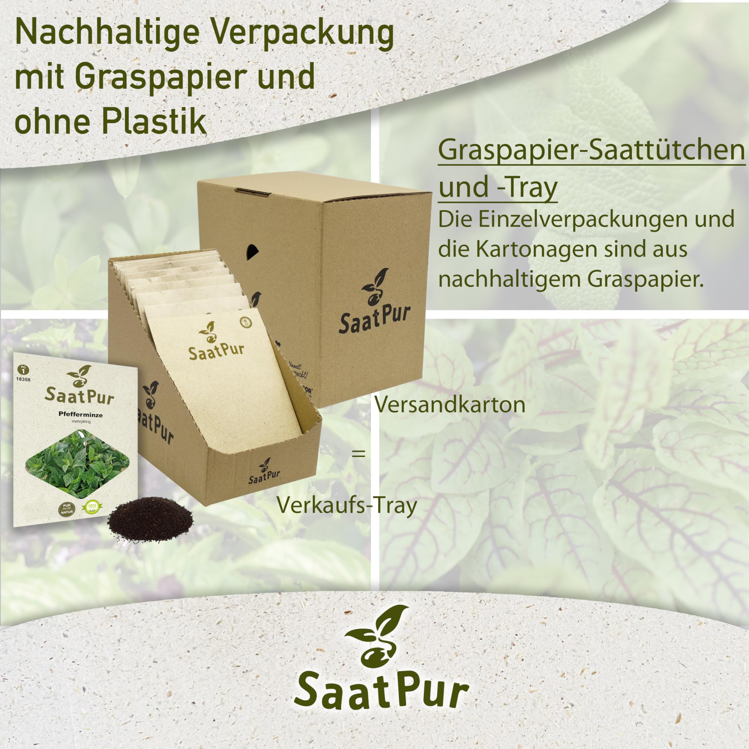 SaatPur Pfefferminze Samen, Saatgut - Kleines Tray mit 25 Portionstüten für je ca. 600 Pflanzen