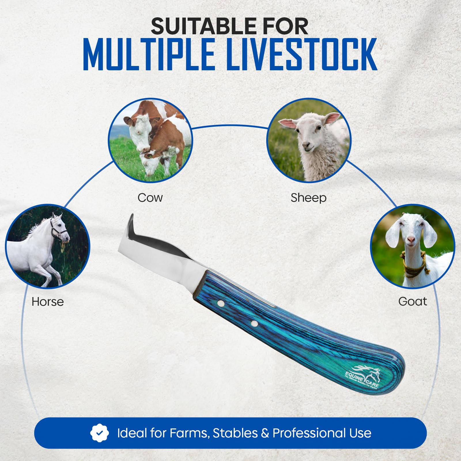 Equine Hoof Knife & Pick - J2 Stainless Steel -7