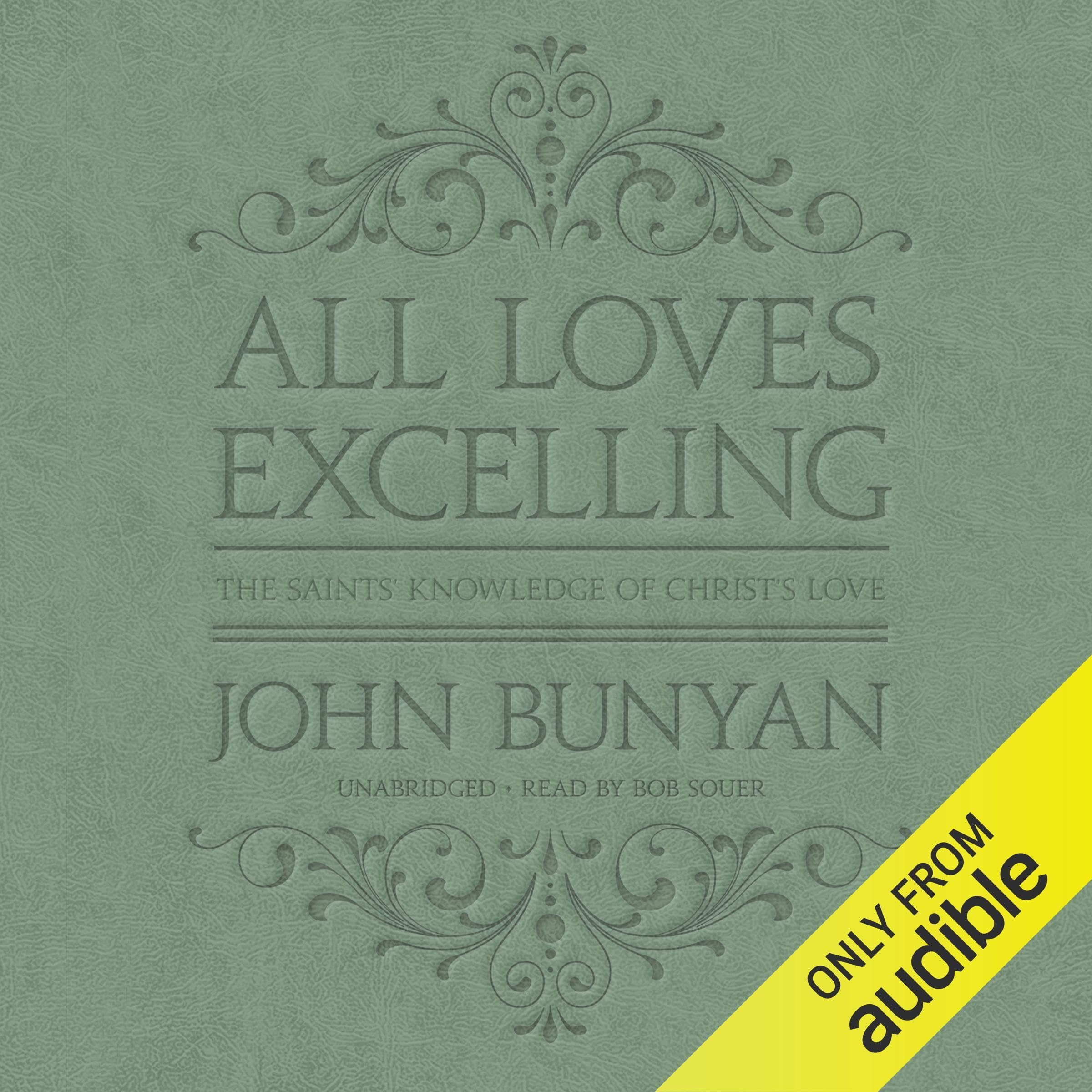 Cover art for All Loves Excelling