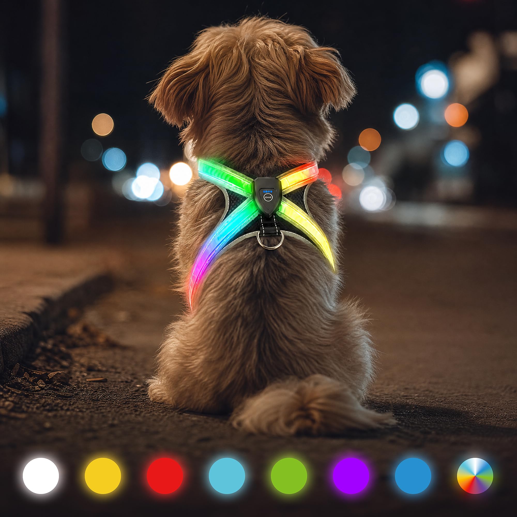 Multicolor Light Up Dog Harness, No Pull Led Vest for Night Walking (Small)