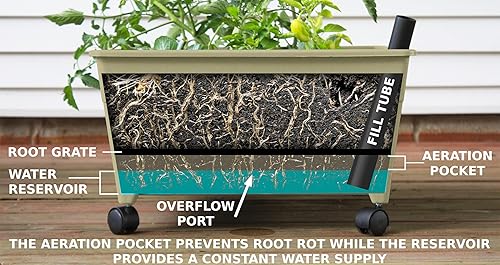 Miniatura 8 de Emsco Grupo Bountiful caja de cultivo, cama elevada para cosechar, Verde