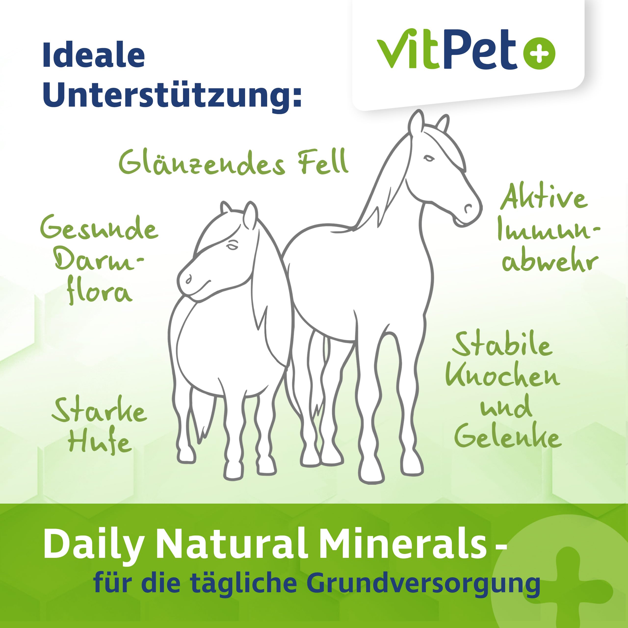 Daily Natural Minerals – Premium Mineralfutter Pferde 4 kg | Magnesium, Biotin, Zink, Selen | Getreidefrei & Melassefrei | inkl. Dosierlöffel