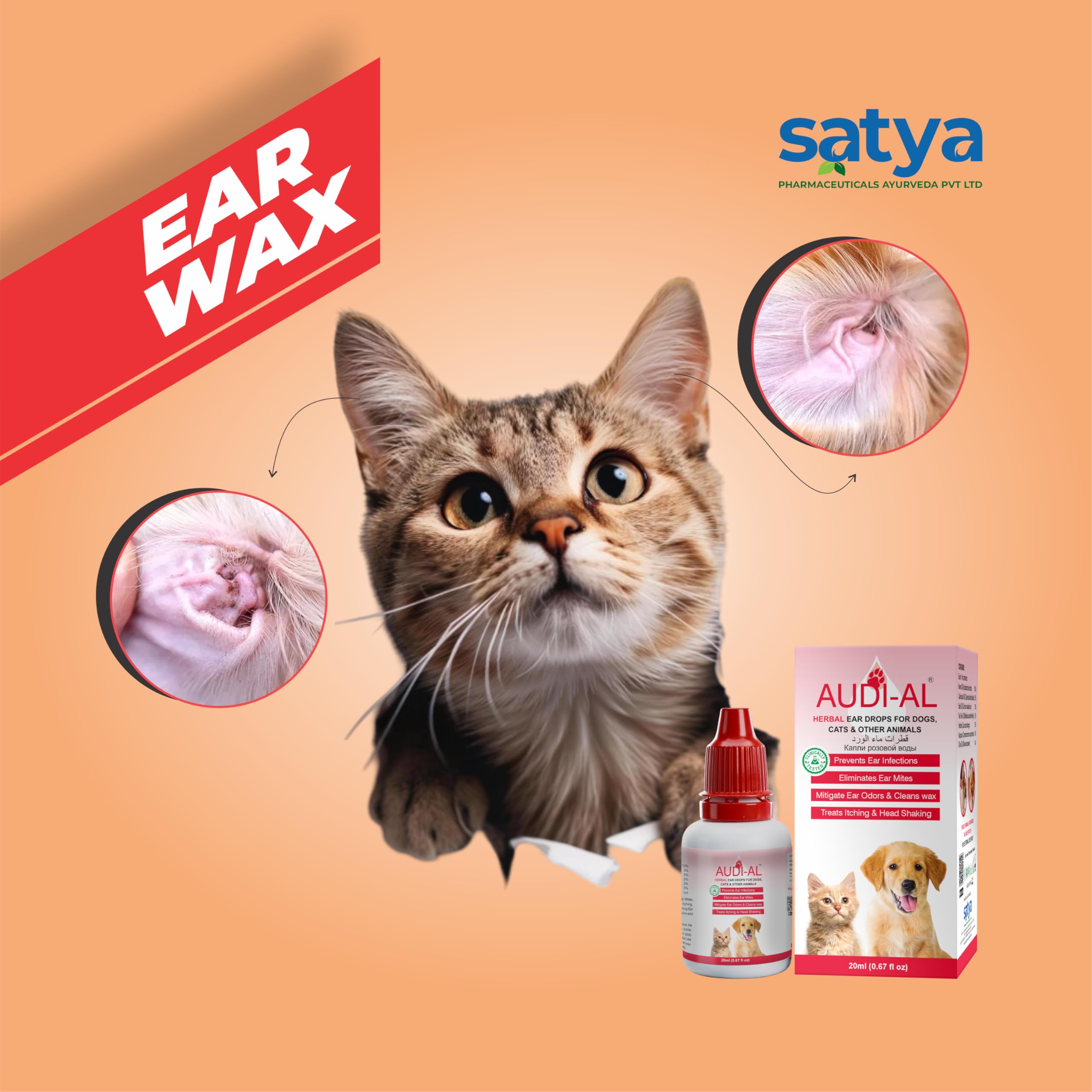EYE-D-AL+ Audial Ear Drops for Pets|100% Herbal Gentle Ear Cleaner for Ear Infections Ear Mites Bad Odour Head Shaking in Dogs and Cats|No Side Effects (Pack of 2) 1