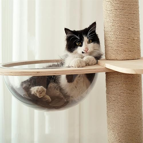 Miniatura 2 de Felivecal Moderno árbol para gatos, cápsula espacial, cama para gatos, centro de actividades de madera, torre de escalada para gatos para gatitos y