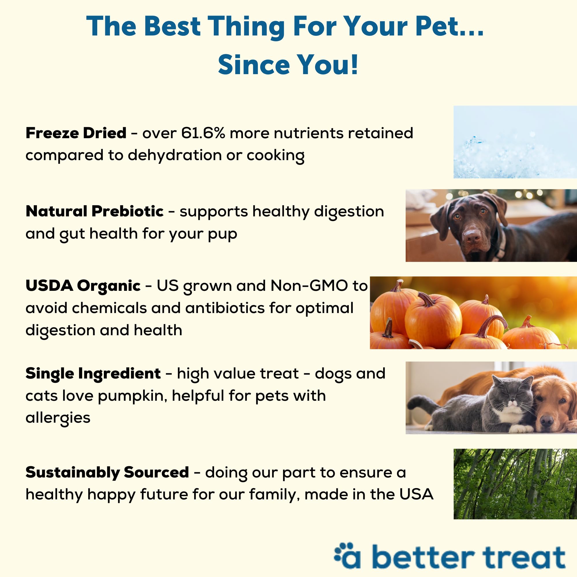A Better Treat – Freeze Dried Organic Pumpkin Dog and Cat Treats, Organic, Single Ingredient | Natural, Healthy, Diabetic Friendly | Made in The USA… thumbnail 3