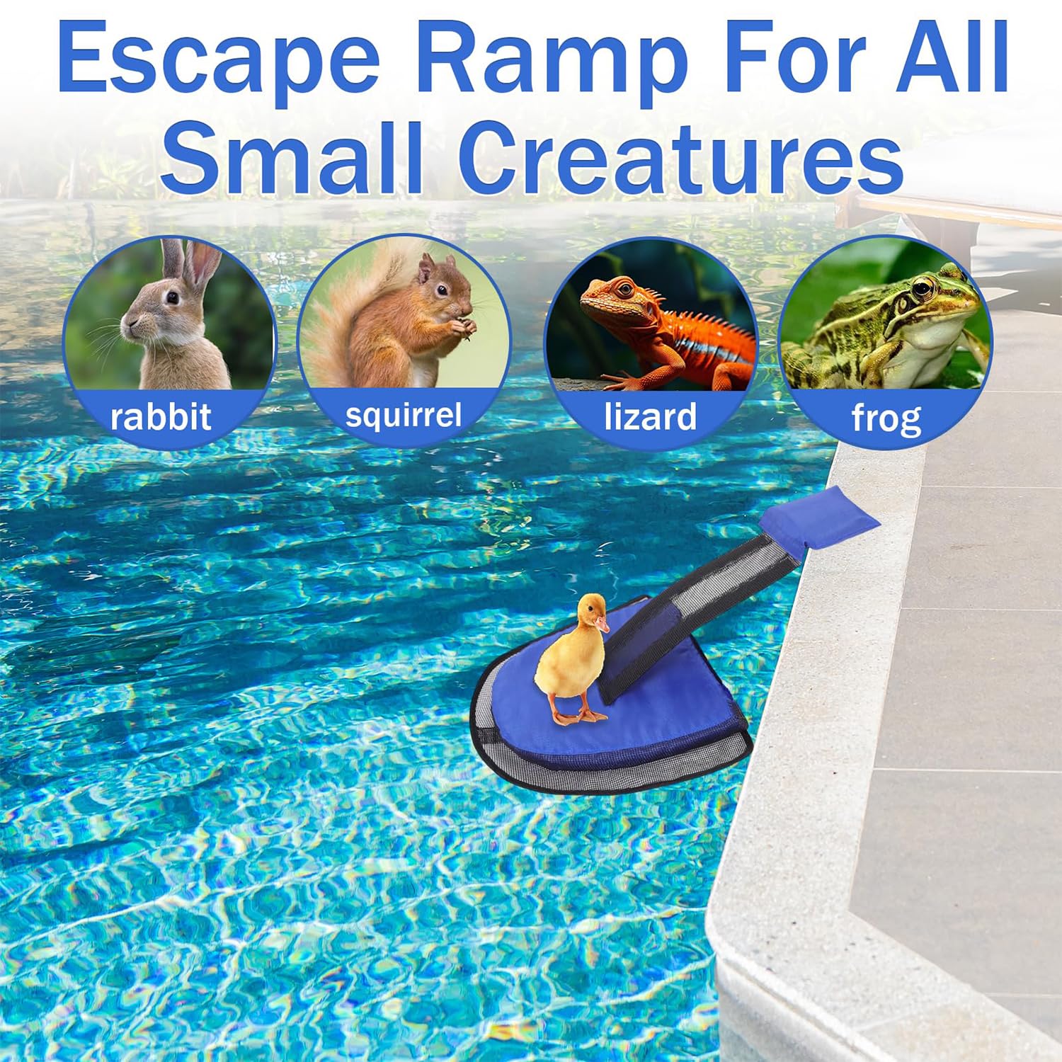 LATERN Rampa De Escape Para Animales 45x34 Cm – Salvaanimales Para Piscinas, Estanques Y Spas