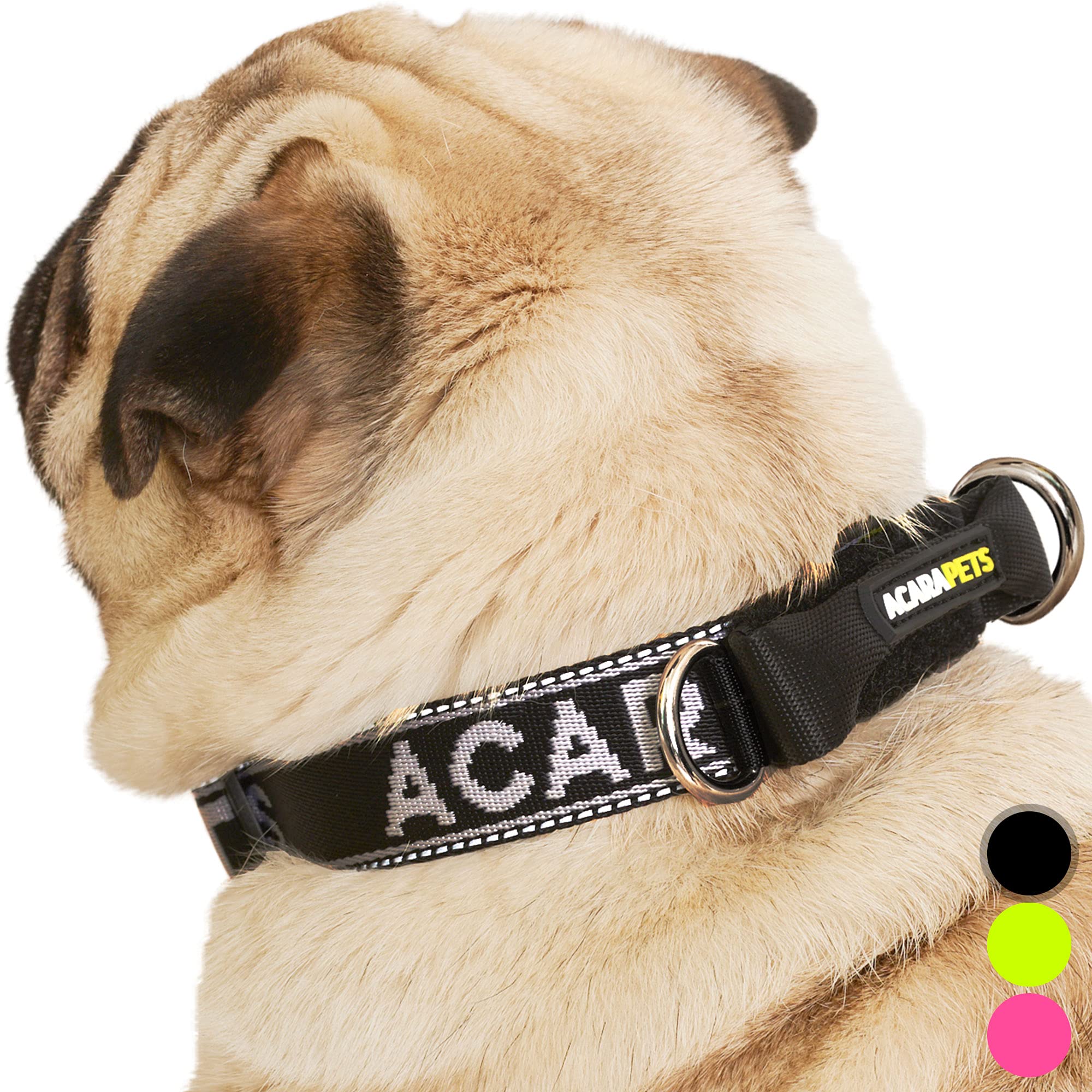 dog collar attachment