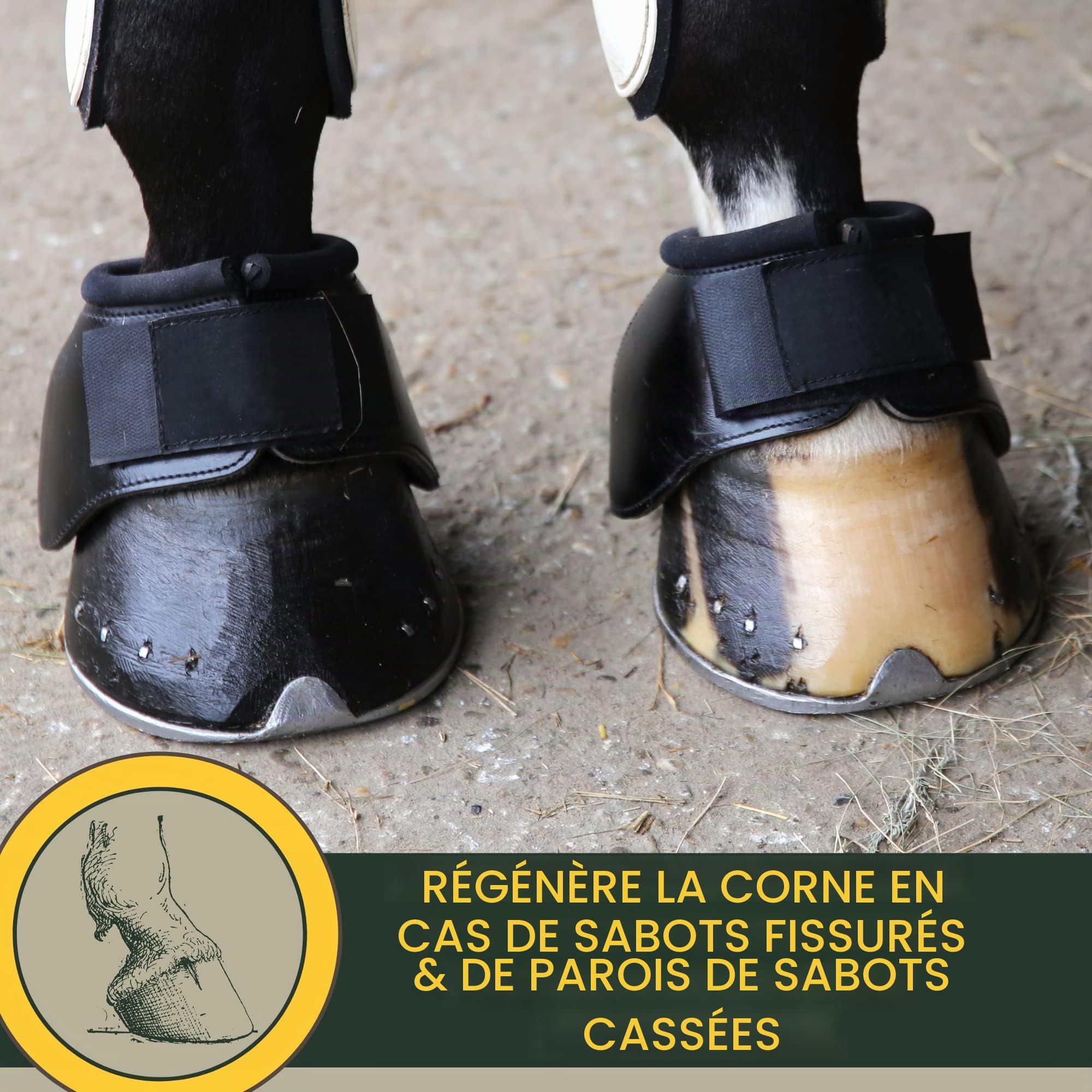 Spray pour crinière de cheval I Spray pailleté pour robe et poils longs I graisse pailleté I Kit de soins pour chevaux 3 pièces enfants I Spray pour queue rose I spray avec paillettes 500ml 2*250ml
