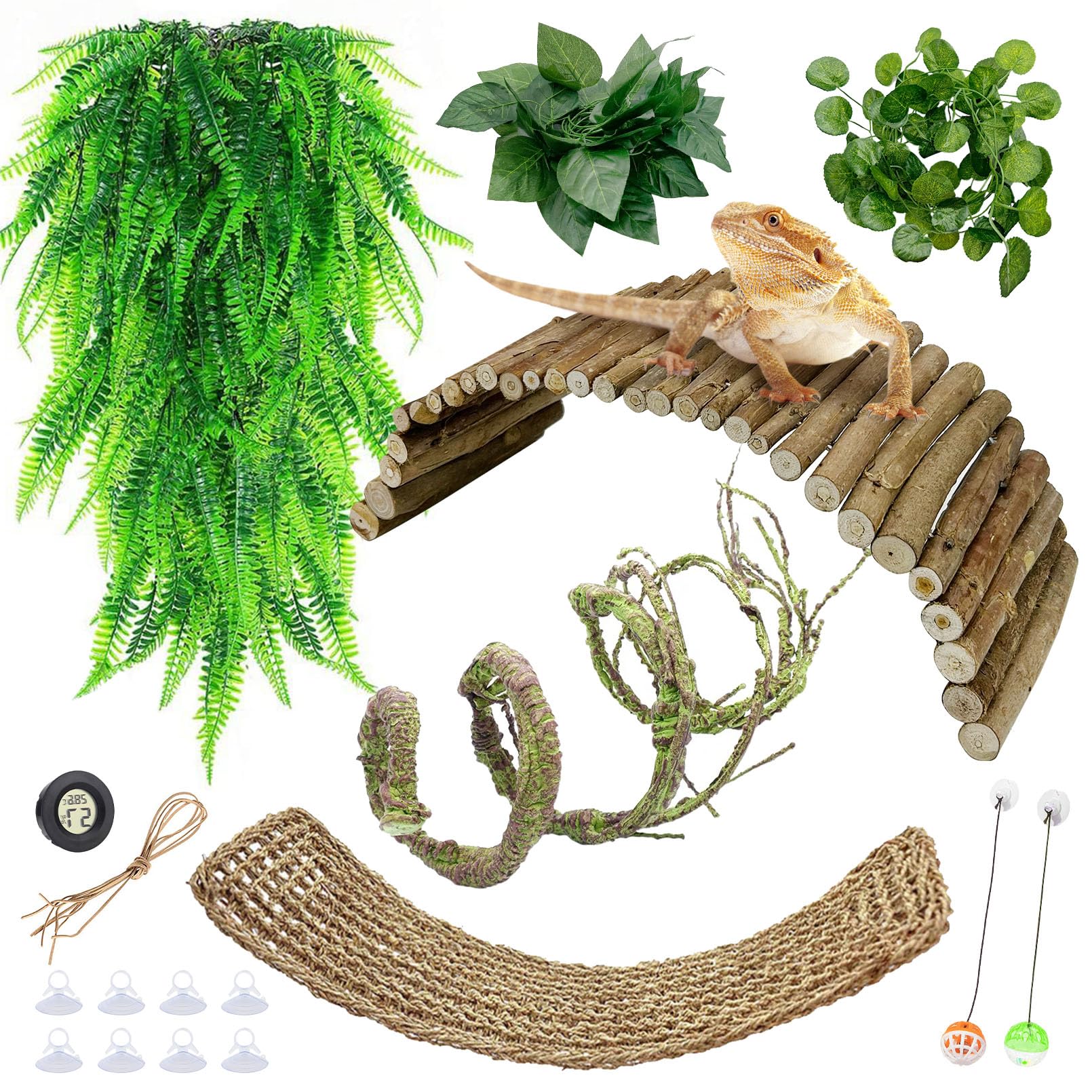 Snapklik Bearded Dragon Tank Accessories Kit 9 PCS Reptile snapklik-bearded-dragon-tank-accessories-kit-9-pcs-reptile