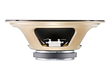 CELESTION V-Type 8Ω 12インチ Celestion G12 V-Type 8 Ohm – United States