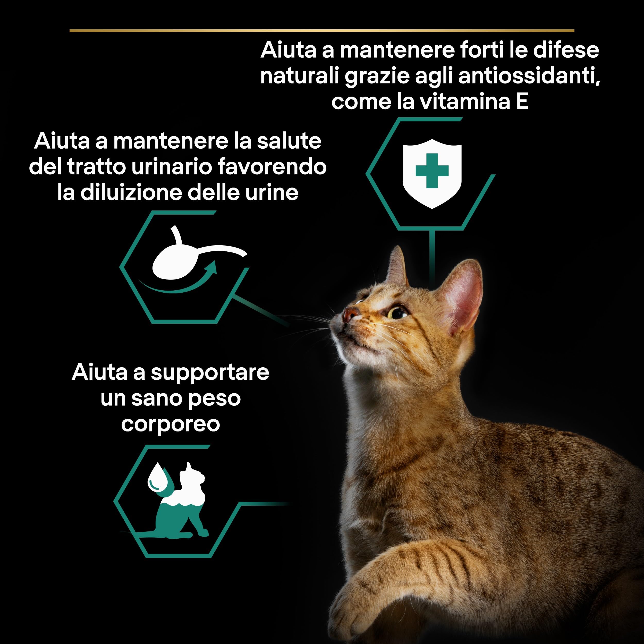 Purina Pro Plan Sterilised Nassfutter für Erwachsene Katzen, sterilisiert, in Gelee, Meeresfisch, 26 Beutel à 85 g