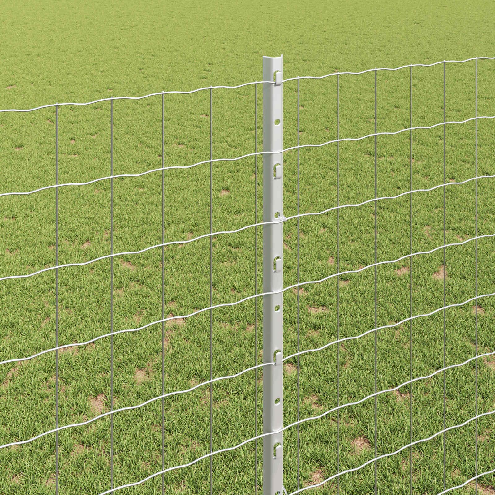 Recinzione Euro in Acciaio Zincato Argento 10 x 1,6 m con Pali da 200 cm per Giardini, Terrazzi, Cortili e Spazi Esterni, Sistema Modulabile di Delimitazione e Protezione