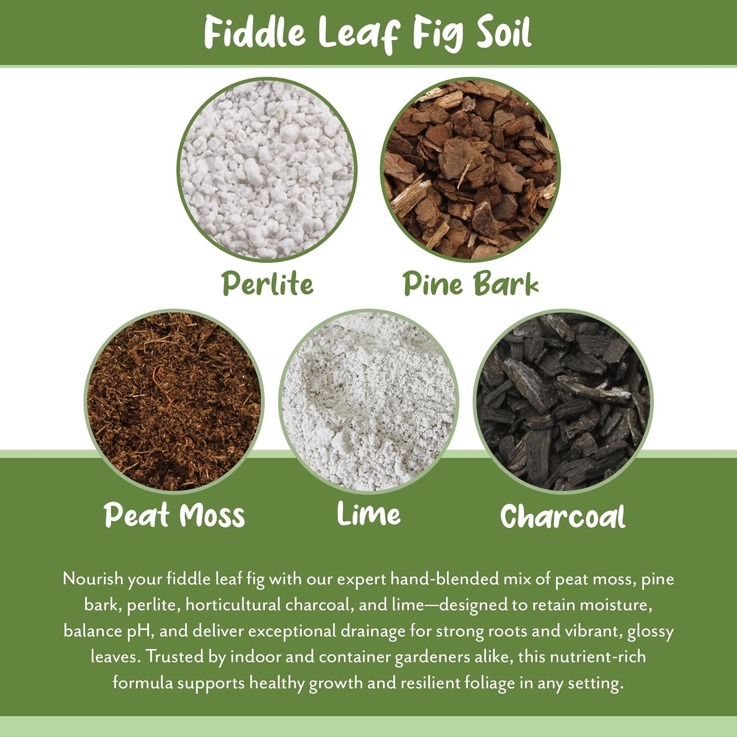 Soil Sunrise Premium Fiddle Leaf Fig Tree Soil (12 Quarts) - Expert Formula for Vibrant Growth - Nutrient-Rich Potting Mix,Specifically Designed for Healthy Indoor,Outdoor,& Potted Fiddle Fig Plants