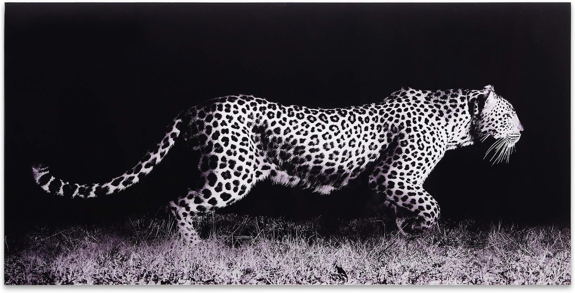 Empire Art Direct TMP-EAD3674-2448 Fearless 1 Frameless Tempered Glass Leopard Wall Art Ready to Hang, 24" x 48" x 0.2"