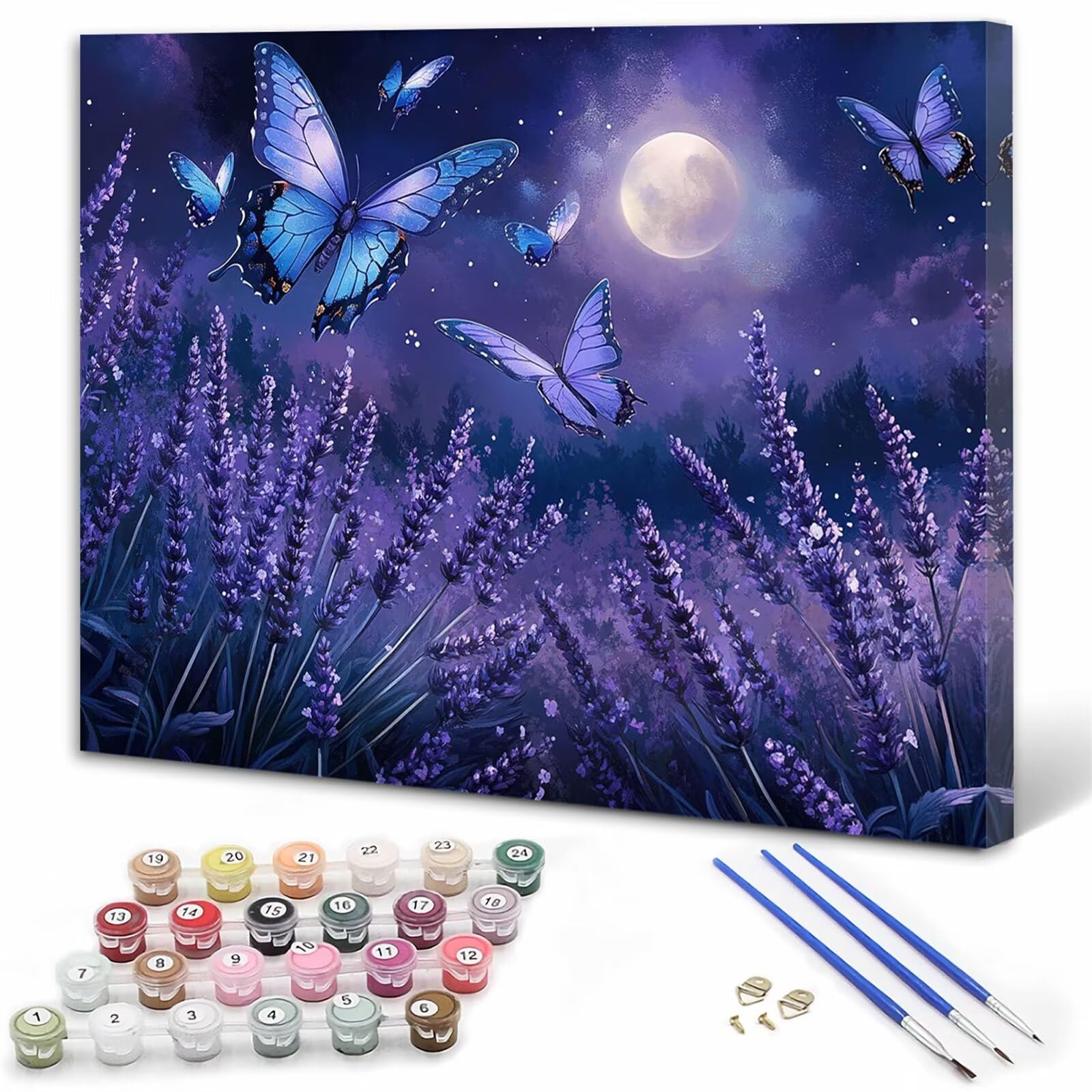 Dipingere con i Numeri Adulti Farfalla Dipingere con i Numeri Luna Paint by Numbers Hobby Creativi Adulti Fai Da Te Tela di Pittura a Olio Kit, Decorazioni Donna Regalo 60x80cm Senza Cornice Y3-345