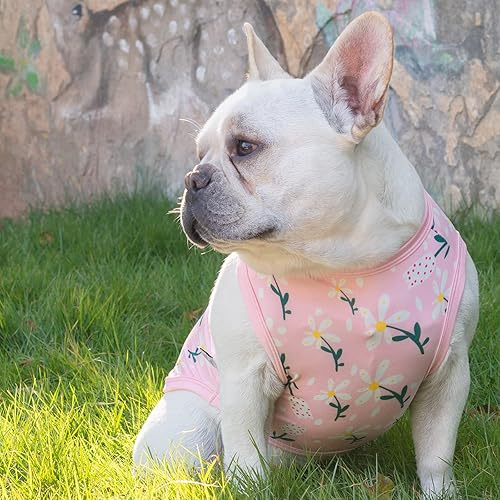 Miniatura 87 de CuteBone Paquete de 2 camisas para perros, ropa suave para mascotas, chaleco de verano transpirable para cachorros pequeños y ropa elástica