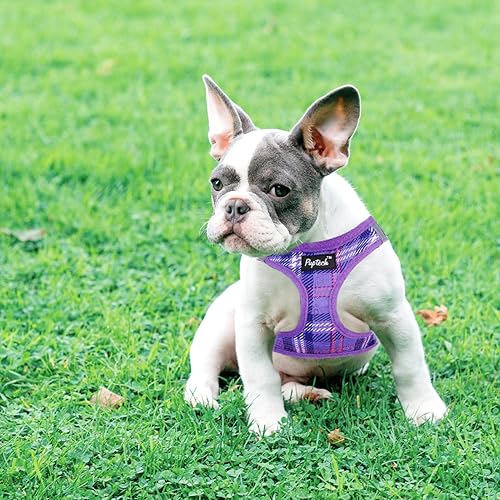 Miniatura 6 de PUPTECK Juego de arnés y correa para perros pequeños y medianos, sin tirones, de malla suave, chaleco reflectante por la noche, patrón a cuadros,