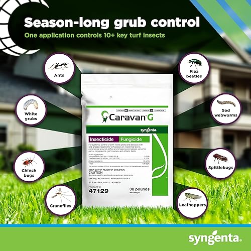 Miniatura 3 de Syngenta Caravan G - Fungicida insecticida - Bolsa de 30 libras