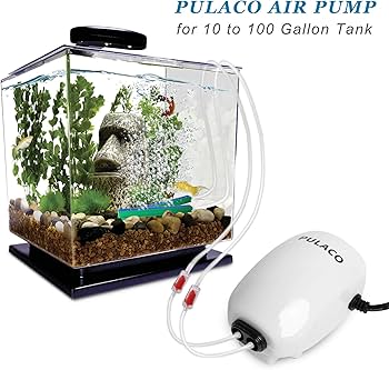 buy aquarium air pump