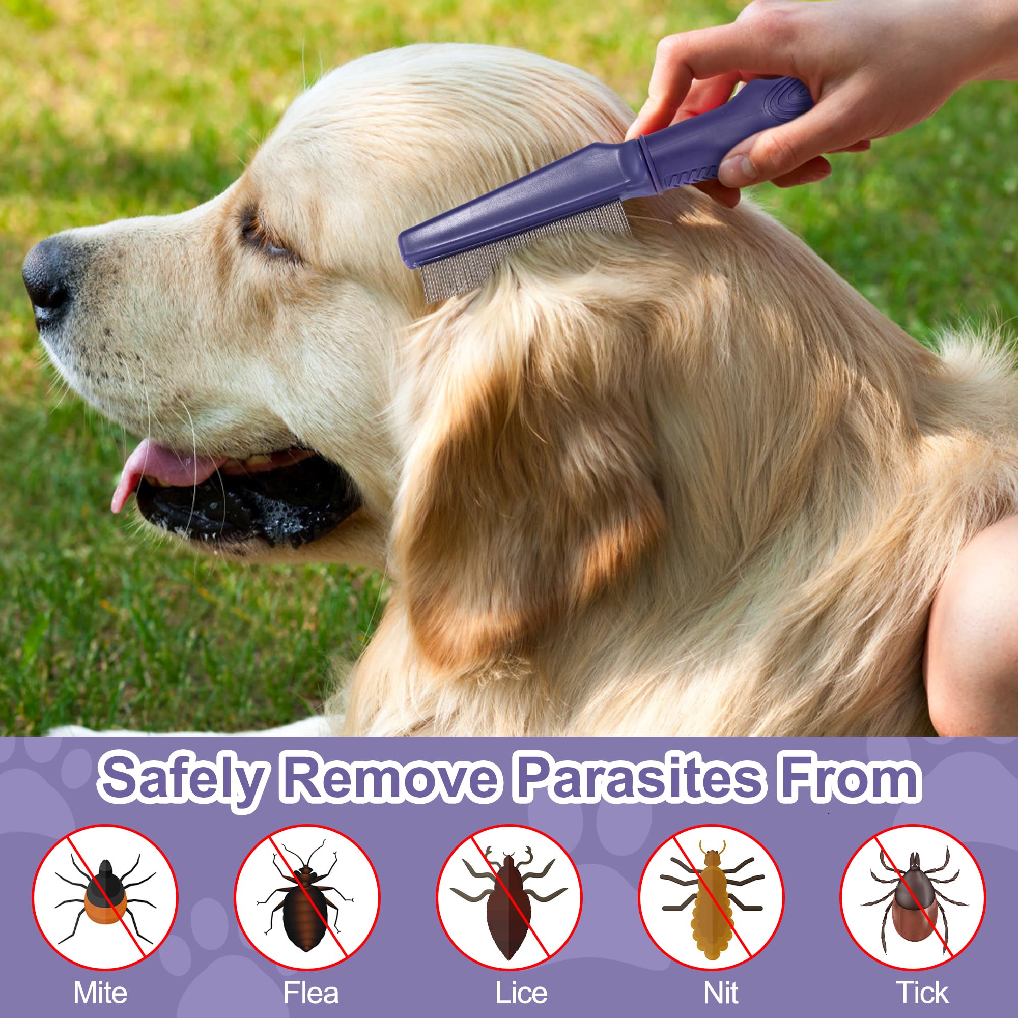 Peigne anti-puces pour Chien & Chat Dents Fines Peignes de Toilettage pour Animaux de Compagnie Douce Peignes de Nettoyage pour Protéger Animal des Puces & Tiques