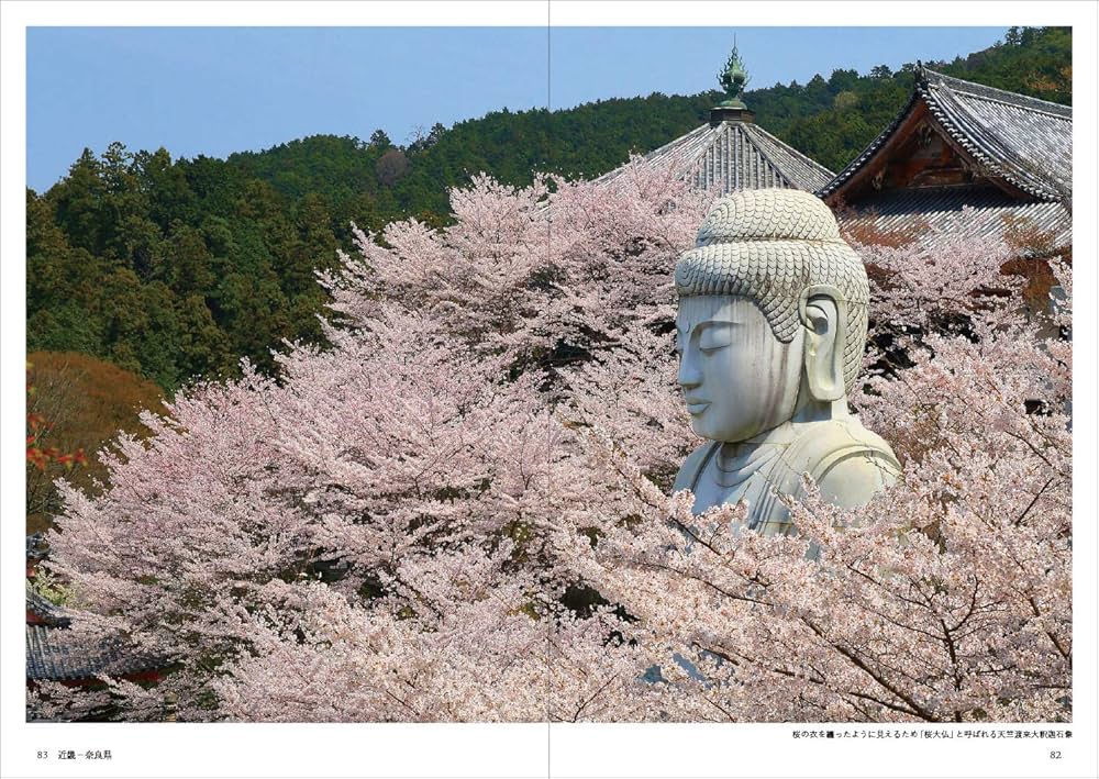 遥かな巨大仏 西日本の大仏たち (KanKanTrip Japan6) | 半田カメラ |本