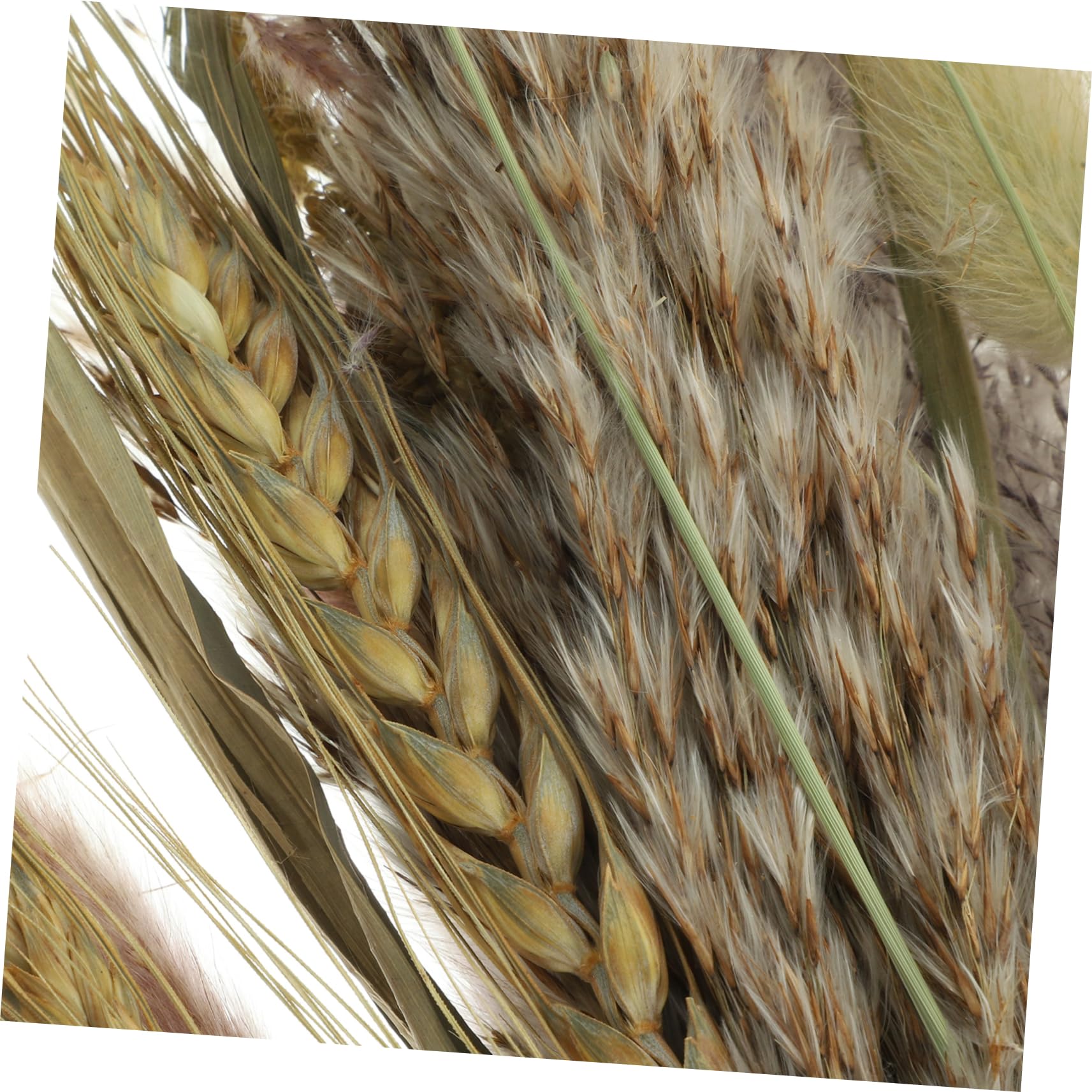 ULTECHNOVO 2stücke Deko-pflanzenstrauß Getrockneten Pampas Und Naturbelassenen Pflanzen Für Boho-Dekoration Hochzeiten Und Kreative Arrangements Bundle