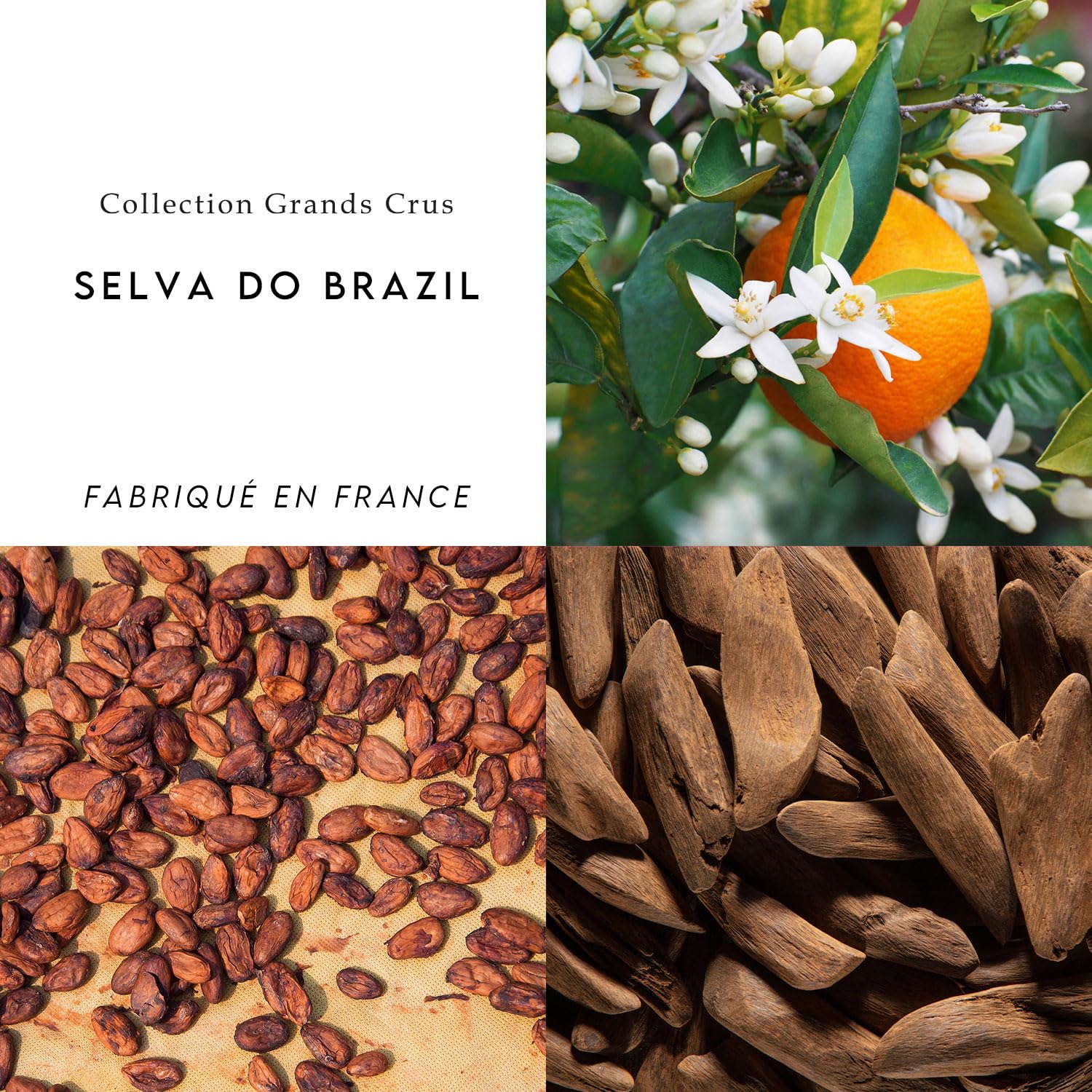 BERDOUES – Selva Do Brazil Eau de Parfum – Berdoues Grands Crus, parfum végétal et boisé inspiré de la forêt amazonienne, Parfum mixte 100ml