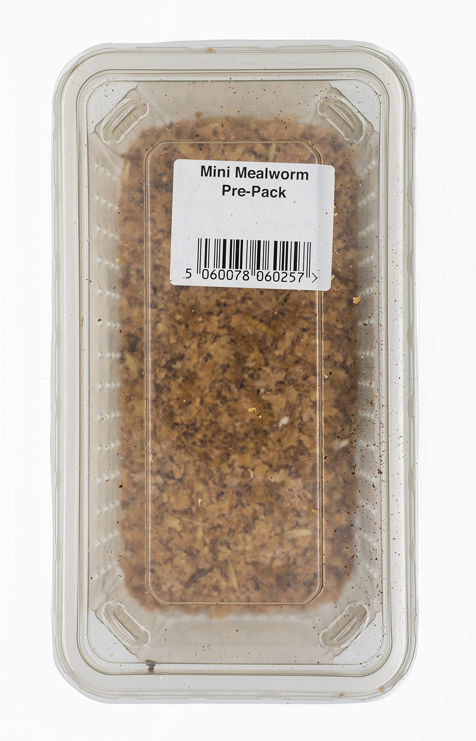 Livefoods4u Live Mini Mealworms 40g Tub 10-15mm | Reptile & Bird Food