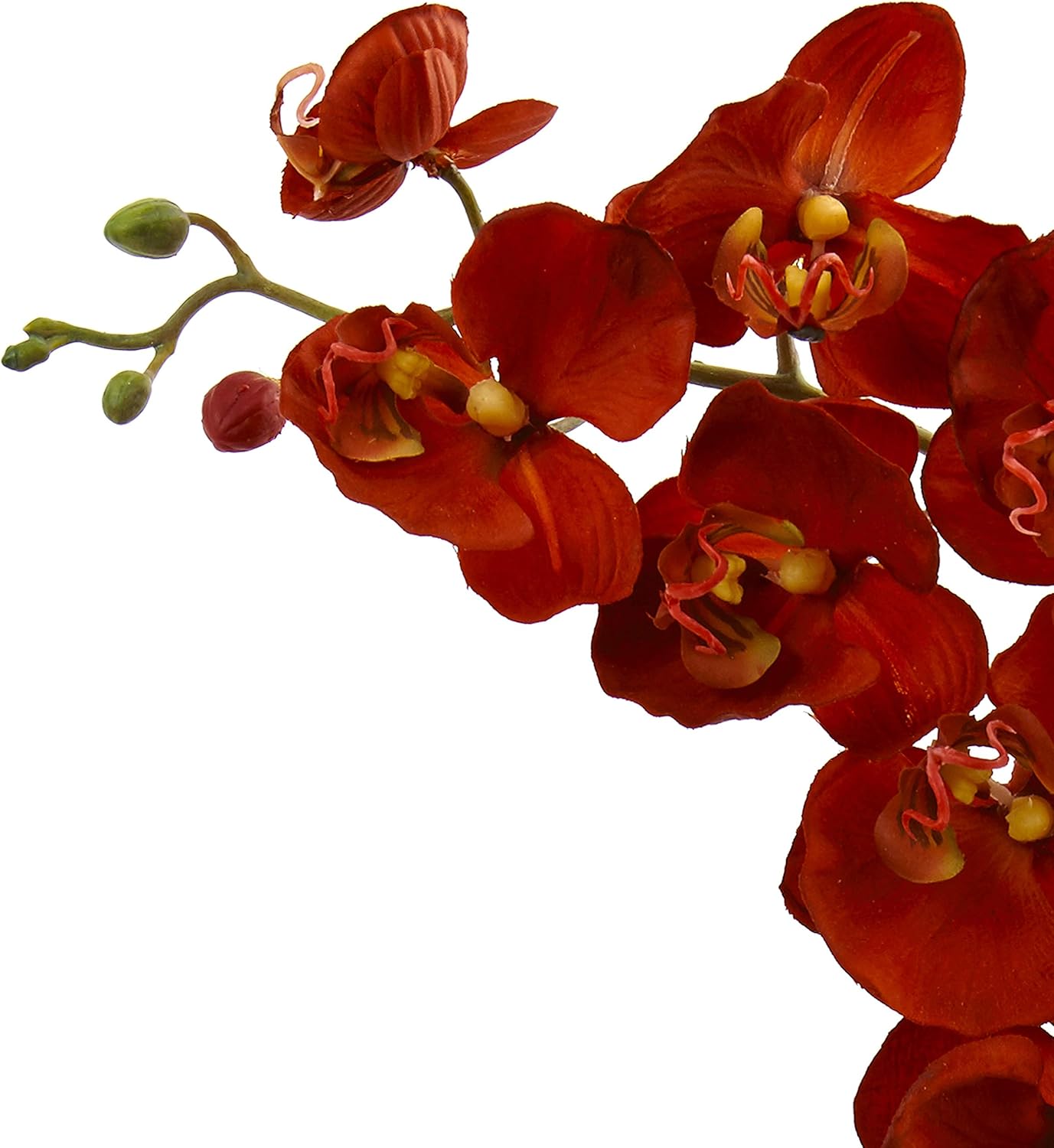 Nearly Natural 1429-AT Birds Nest Fern & Orchid Silk Arrangement with Wood Planter, I