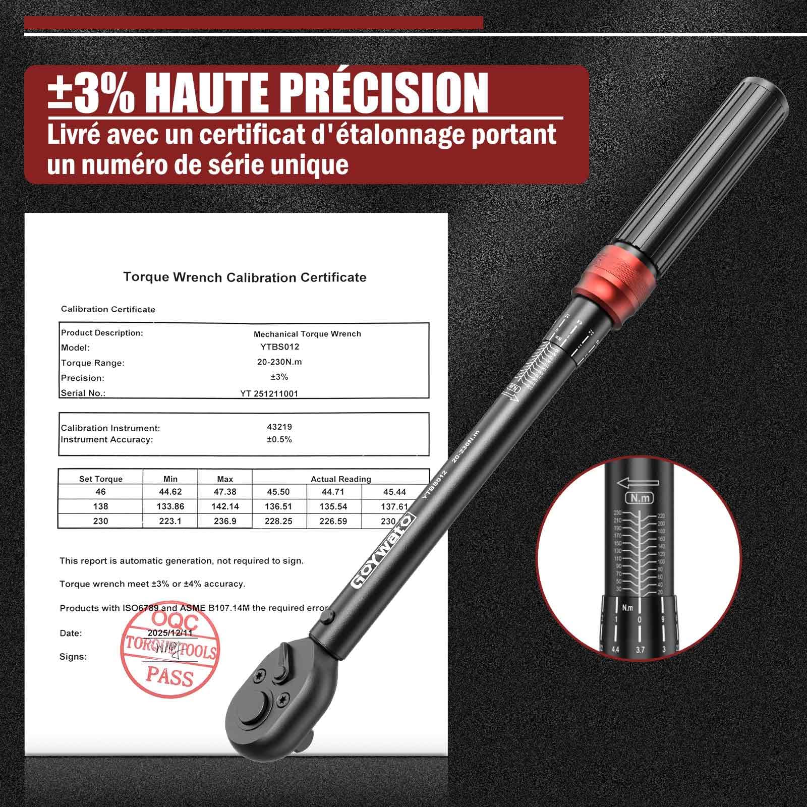 Clé Dynamométrique 1/2" 20-230 Nm - Cle Dynamometrique Voiture, Cliquet à 72 Dents, avec Barre D'extension 125mm & Adaptateur 1/2"-3/8" & Douilles 17mm/19mm/21mm, pour Voiture, Moto, Changer Les Pneus