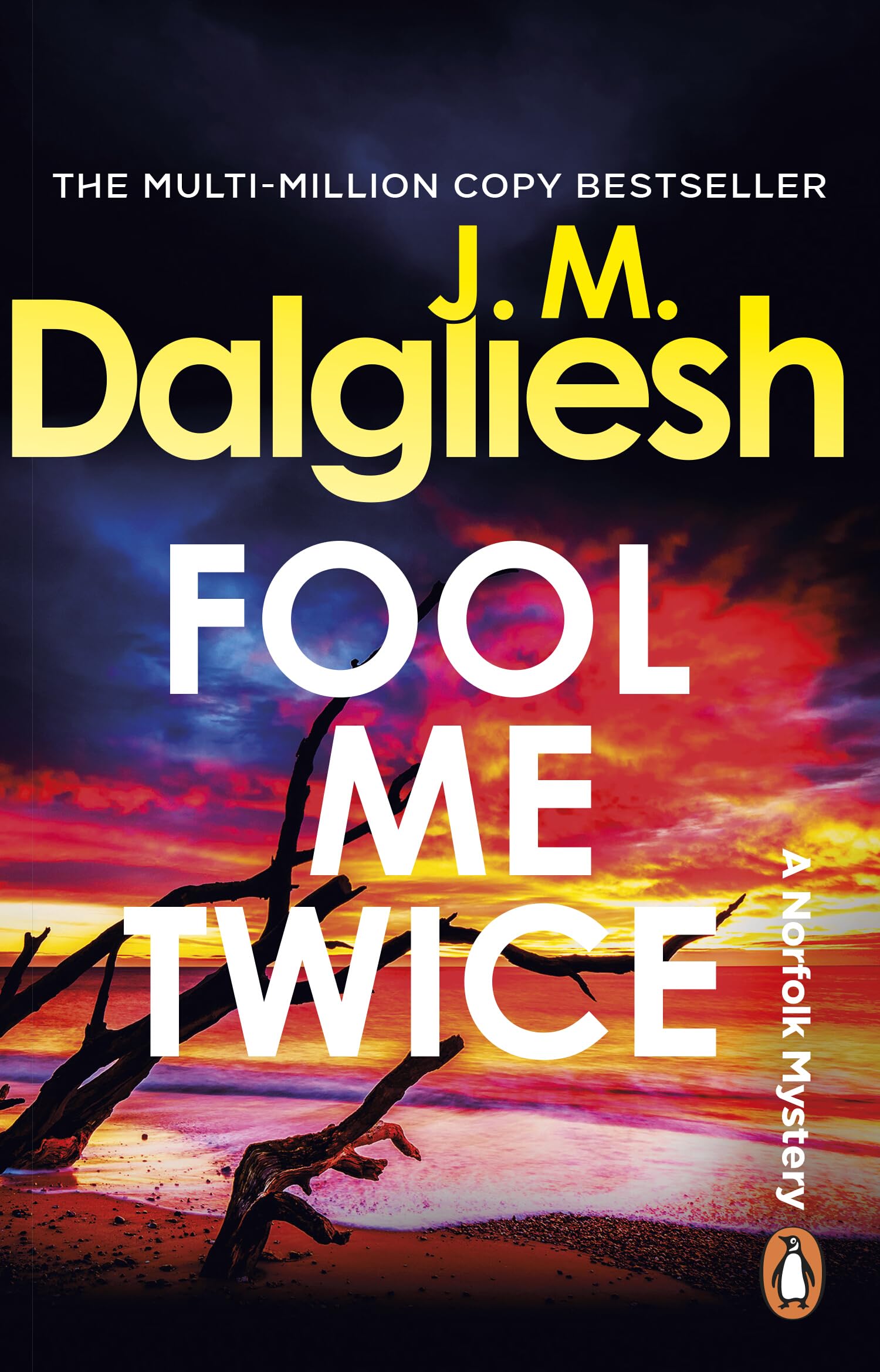 Fool Me Twice: A pulse-pounding police procedural from the multi-million-copy bestselling author of the Misty Isle series (Hidden Norfolk Murder Mystery, 10)