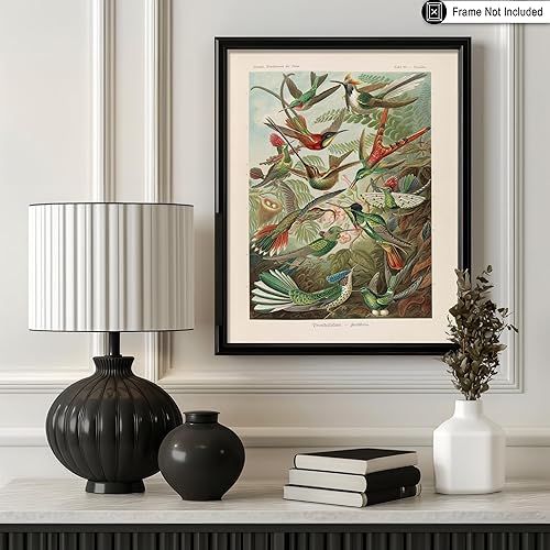 Miniatura 3 de Poster Master Póster vintage de colibríes, impresión de formas de arte retro en la naturaleza, arte de pájaros, regalo para él, ella y amante de los