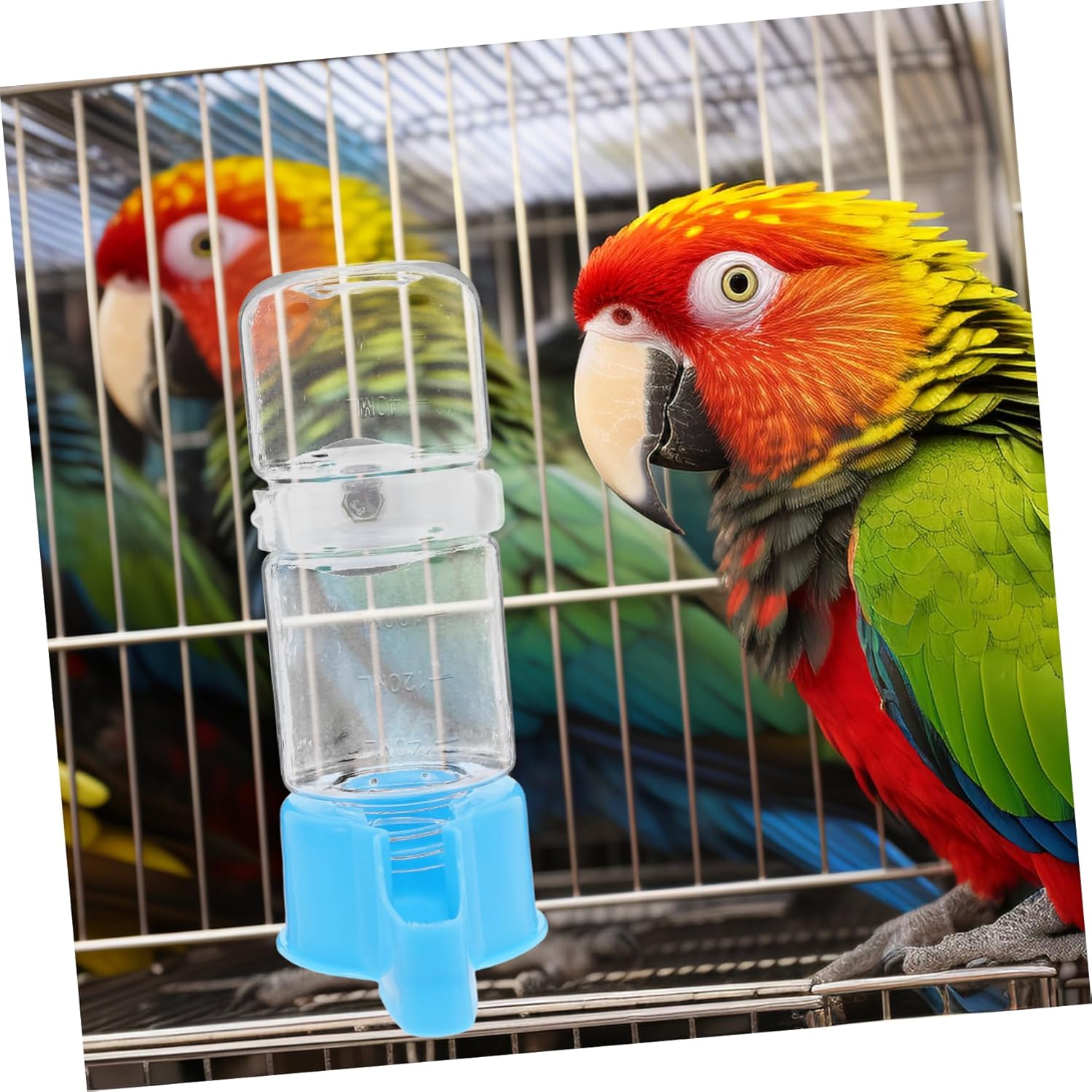 BESPORTBLE 10pcs Automatic Bird Waterer for Parrots Water Dispenser for Bird Cages Convenient Design for Continuous Fresh Water Supply Suitable for Parakeets