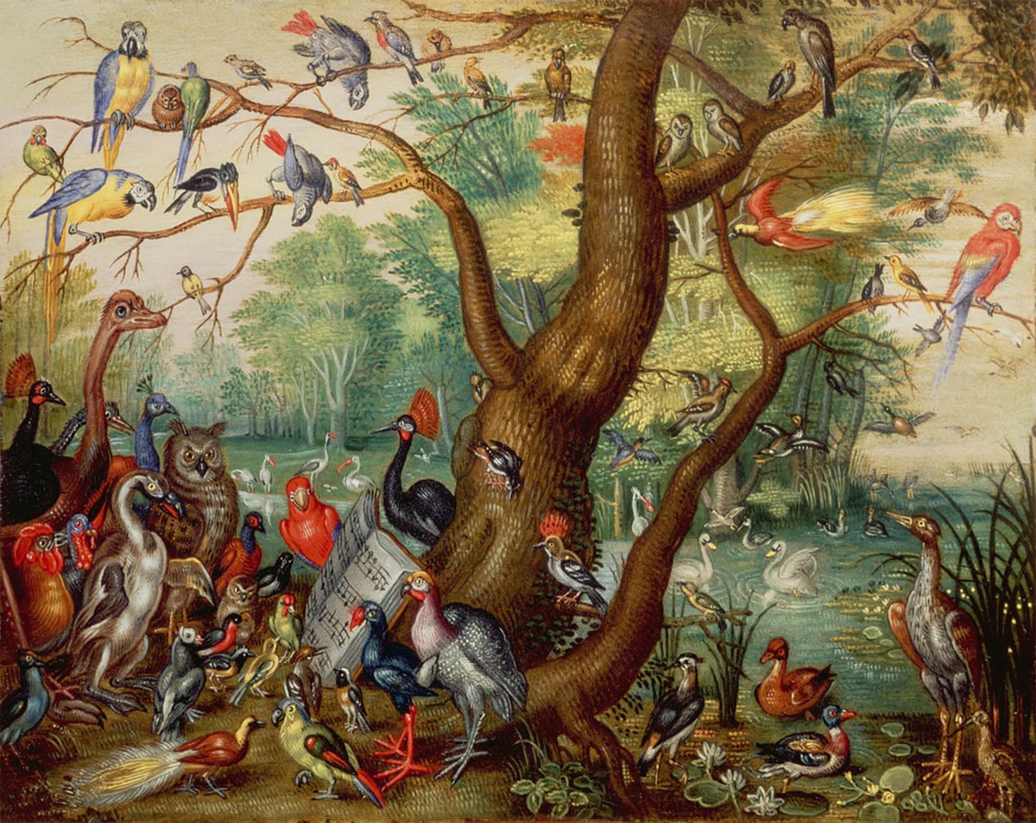 ARTXLXXBN Famous Print Painting Colorful Art Print Concert of Birds by Jan Van Kessel the Elder Canvas Art Decorations for Home Decor 60x90cm