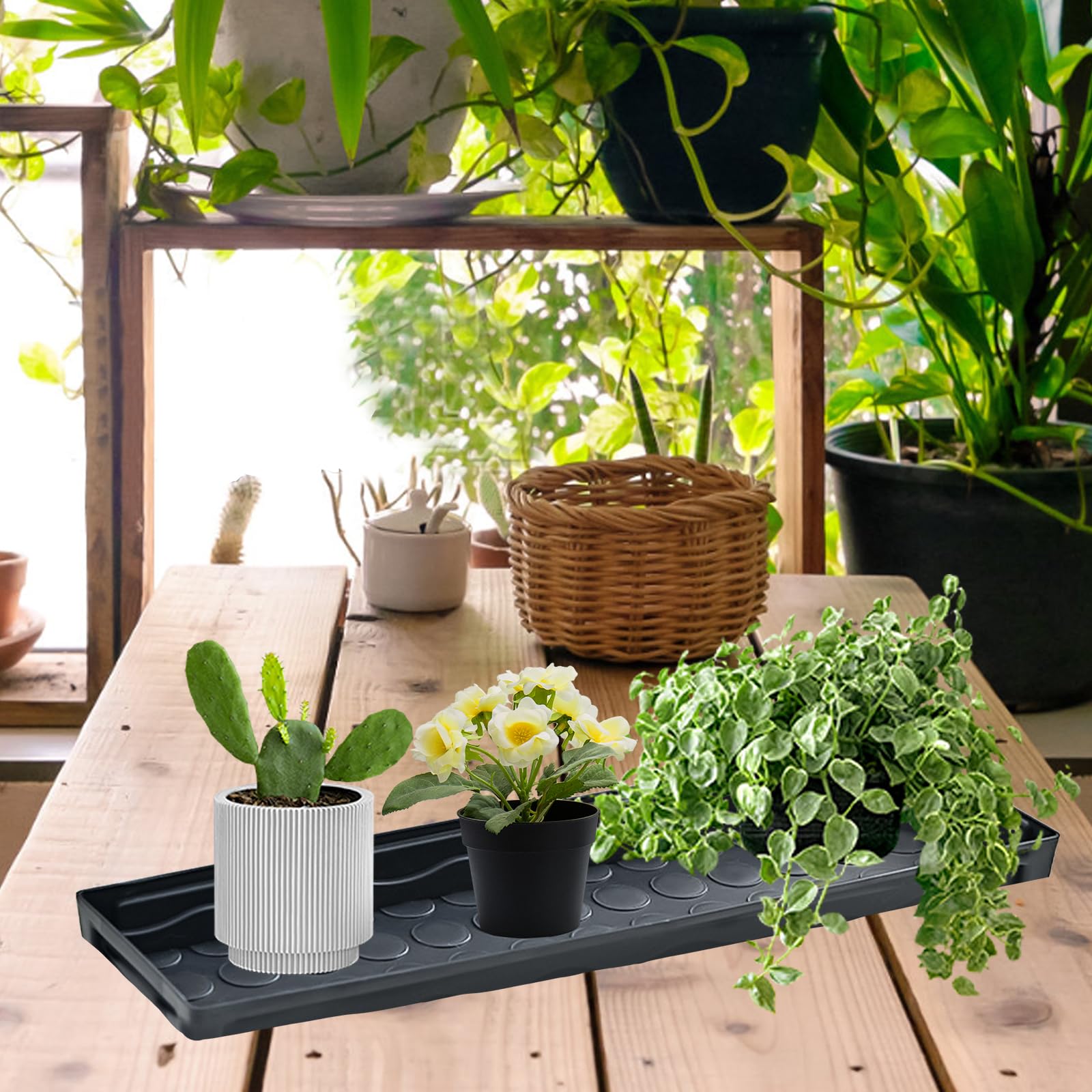 5 Pièces Soucoupe Pot Fleur,Plateaux de Jardinières Rectangulaires Plateau de Drainage pour Rebord Fenêtre Plastique pour Cour Jardin Intérieur et Extérieures,41 x 11.5 x 4 cm