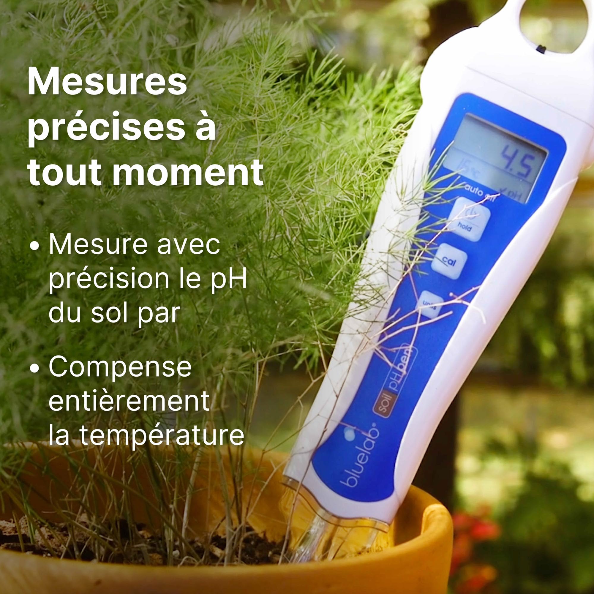 Bluelab PENSOILPH Soil pH Pen - Stylo pH, pH mètre et température - pour sol, fibre de coco, laine de roche et solutions nutritives, calibrage facile - pH-mètre, mesure de l'acidité