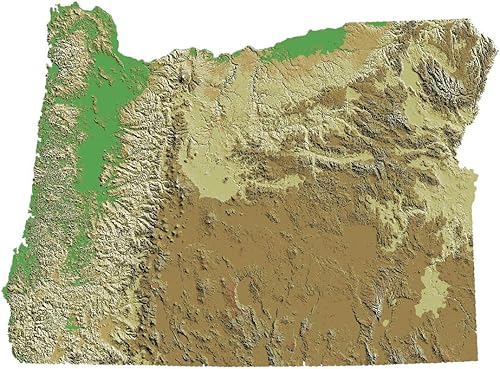 Home Comforts Cartel laminado detallado en relieve del estado de Oregon de 20 x 30 pulgadas con colores brillantes e imágenes vívidas, se adapta