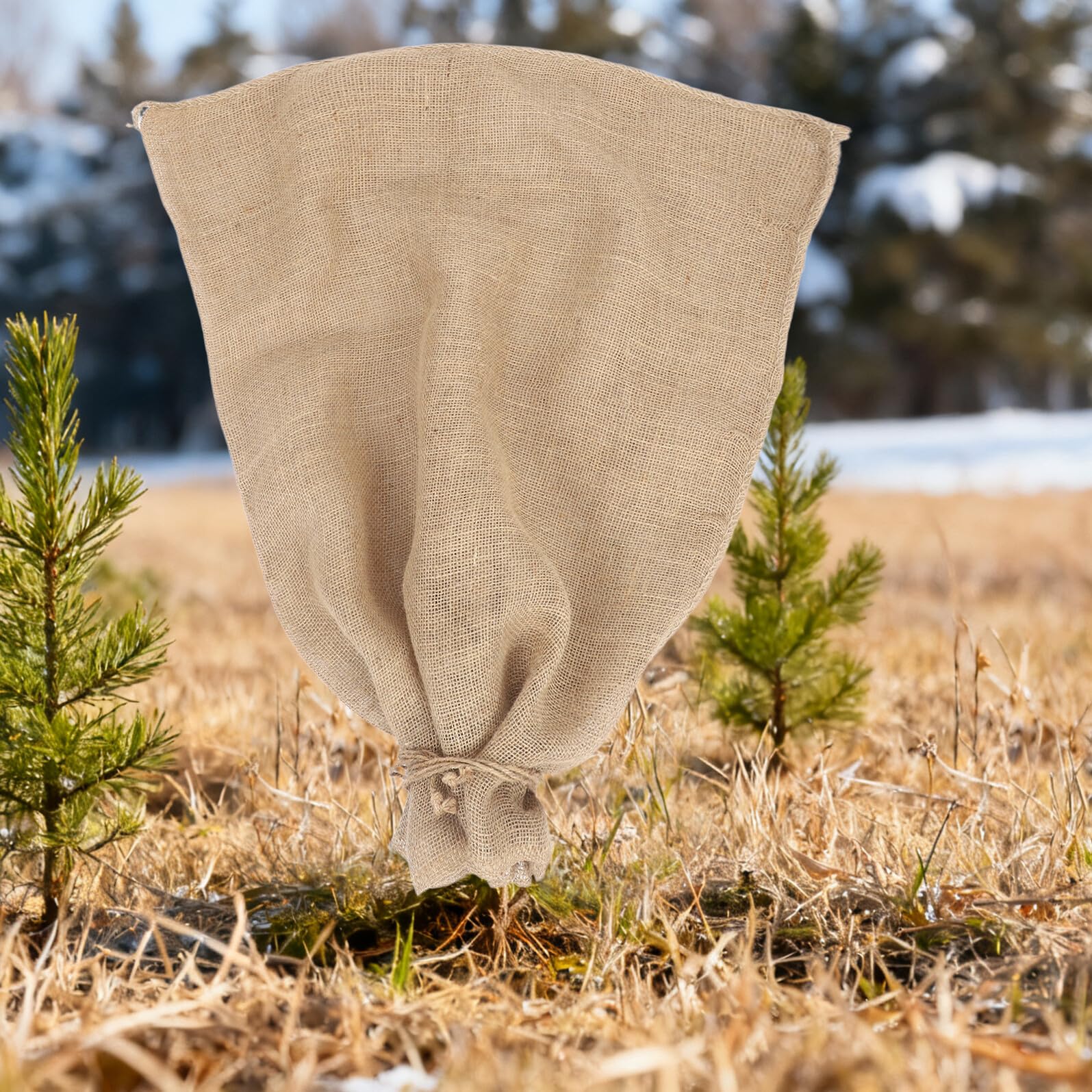 YARNOW Copertura Antifreddo per Piante da Esterno in Juta, 2 Pezzi | Cordino, Protezione dal Vento e Rimozione Rapida, Riutilizzabili per Vasi Decorativi e Alberi da Frutto