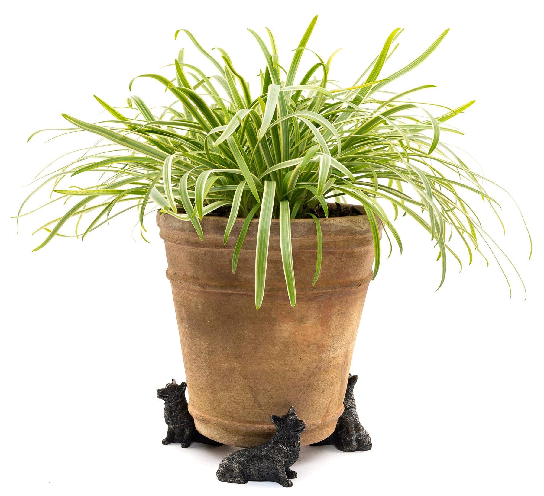 Potty Feet Corgi Dog Figures Plant Pot Feet - Planter Support - Handmade Decorative Ornaments - 3pcs โ image 1
